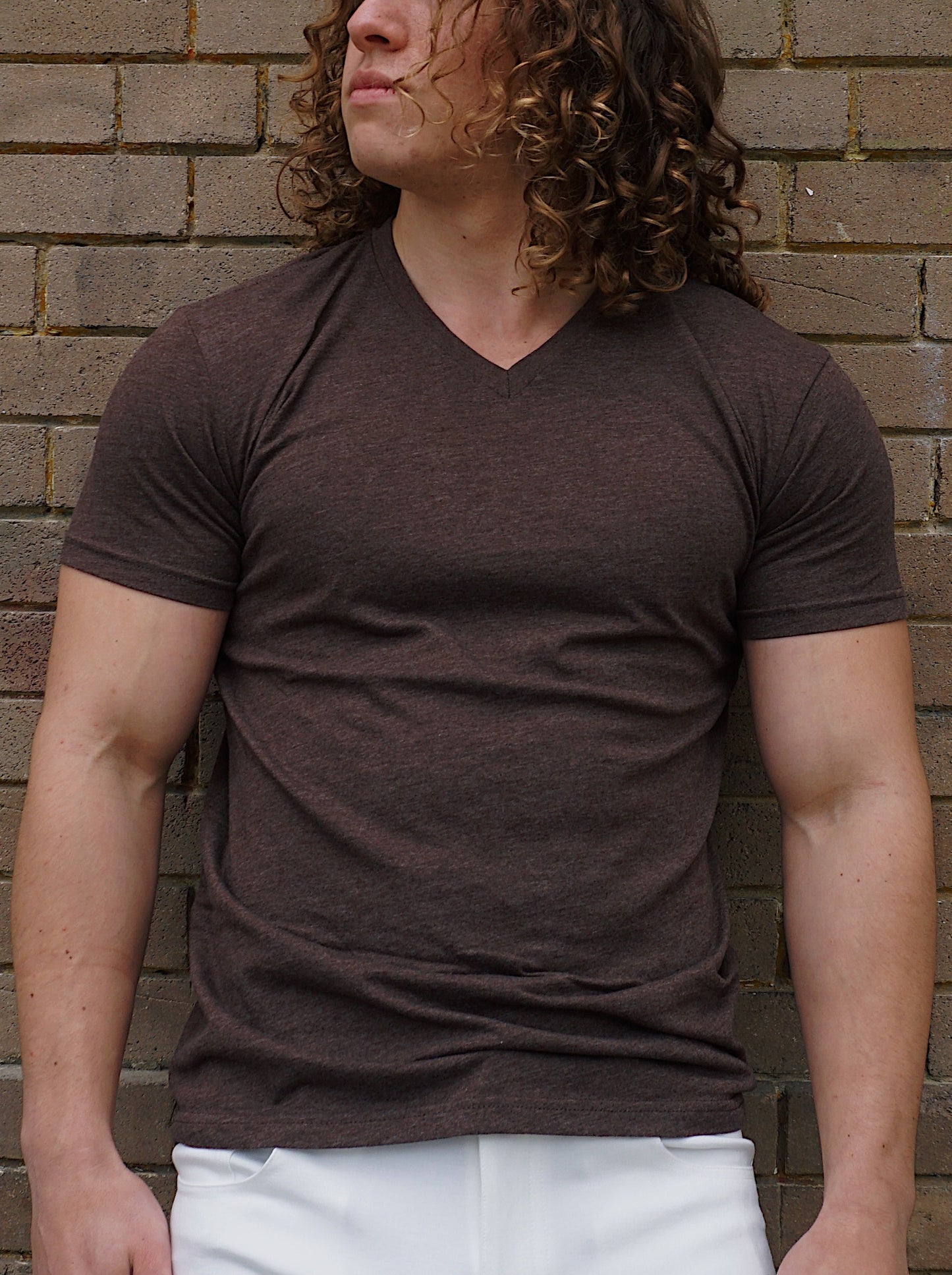 ROLO PREMIUM V-NECK T-SHIRT ESPRESSO