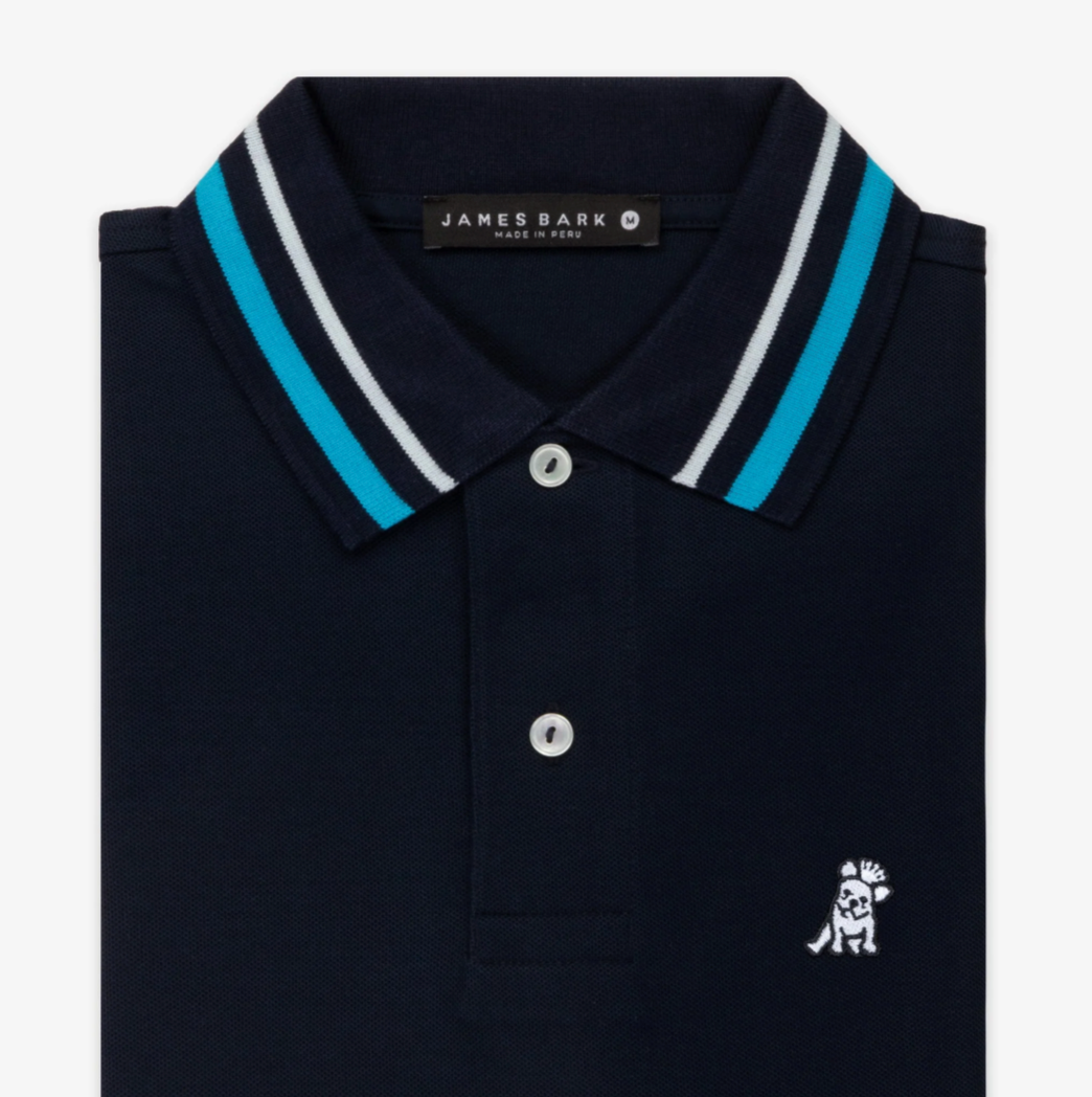 Striped Accent Collar Polo Shirt