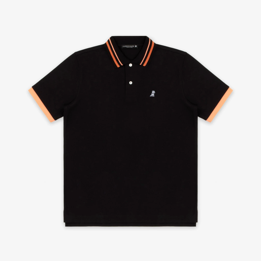 Striped Accent Collar Polo Shirt