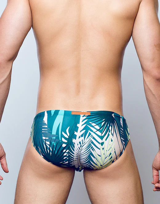 V10 Swim Brief