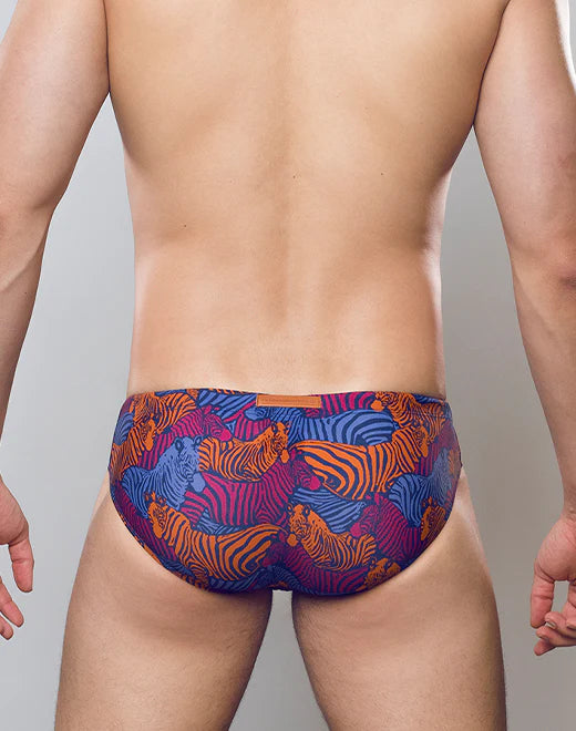 V10 Swim Brief