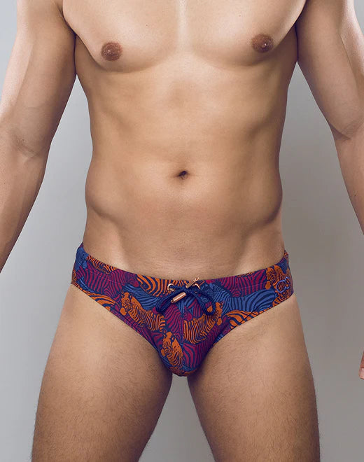 V10 Swim Brief