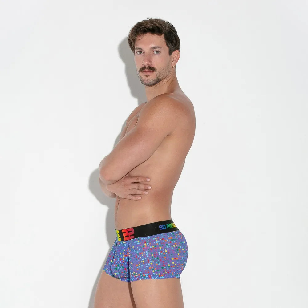 Pride Mesh Trunk