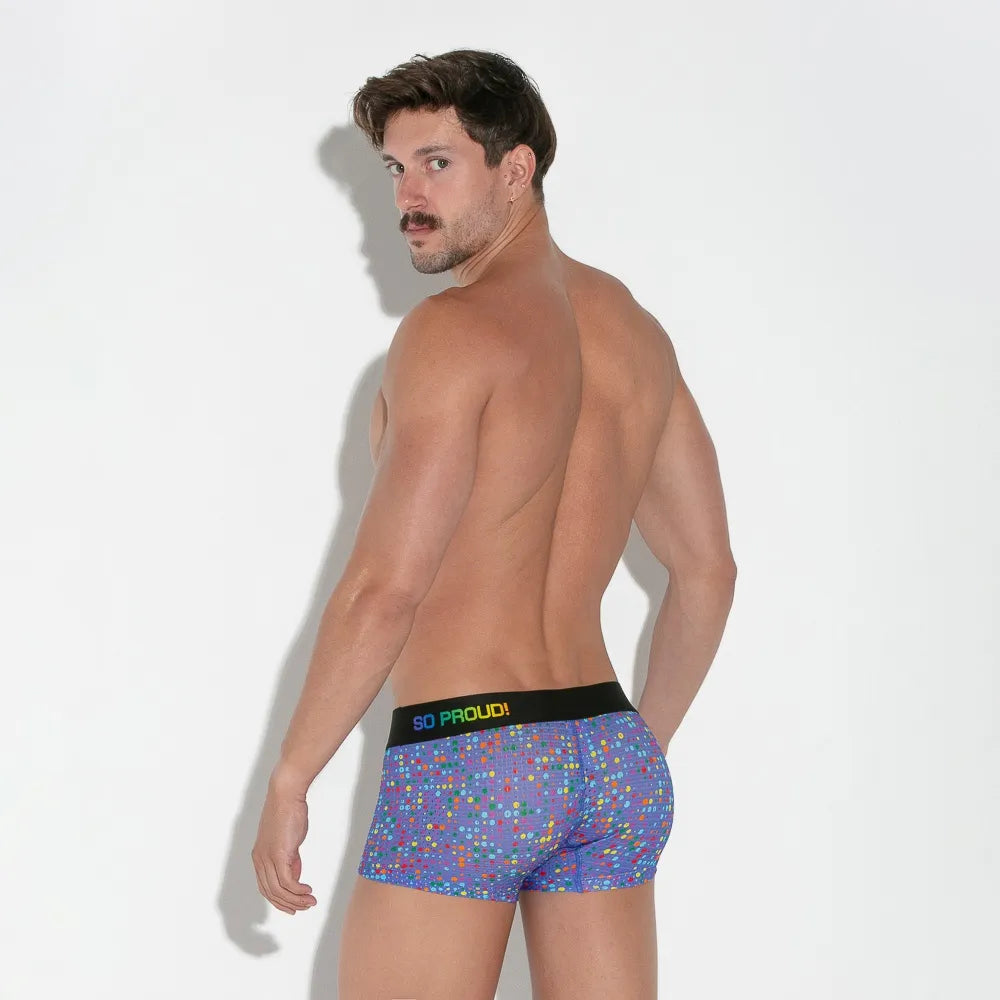 Pride Mesh Trunk