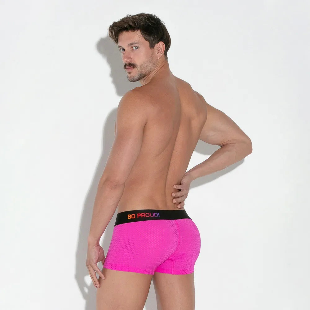 Pride Mesh Trunk