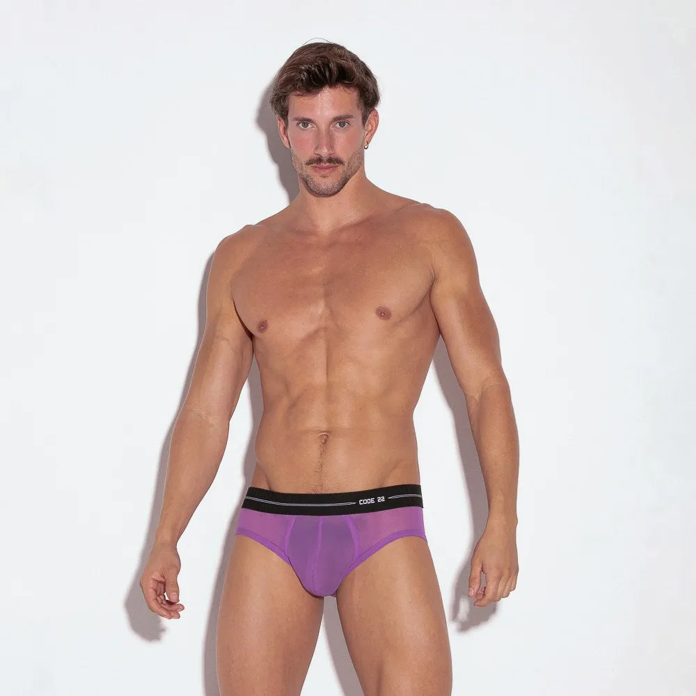 Sheer Mesh Brief