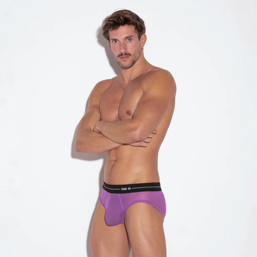 Sheer Mesh Brief