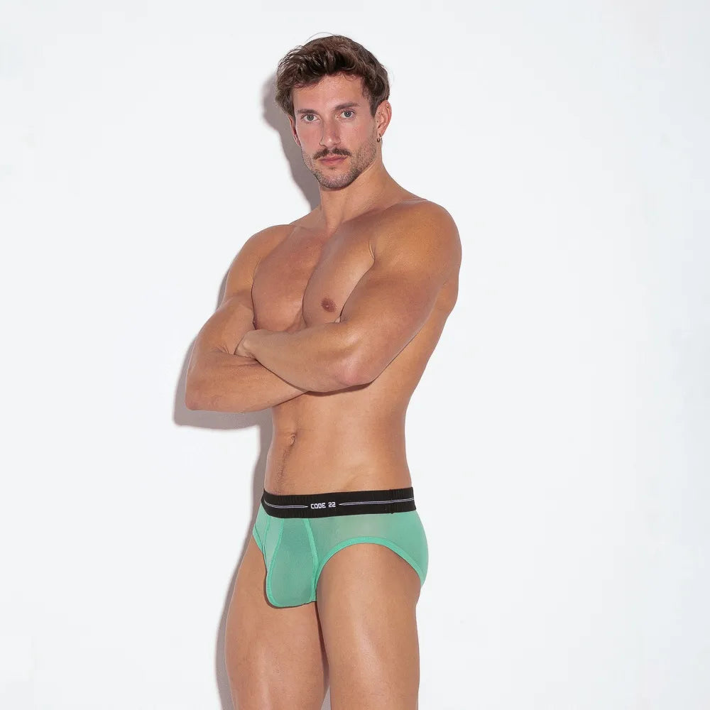 Sheer Mesh Brief