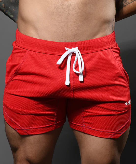 Fit Mesh Training Shorts