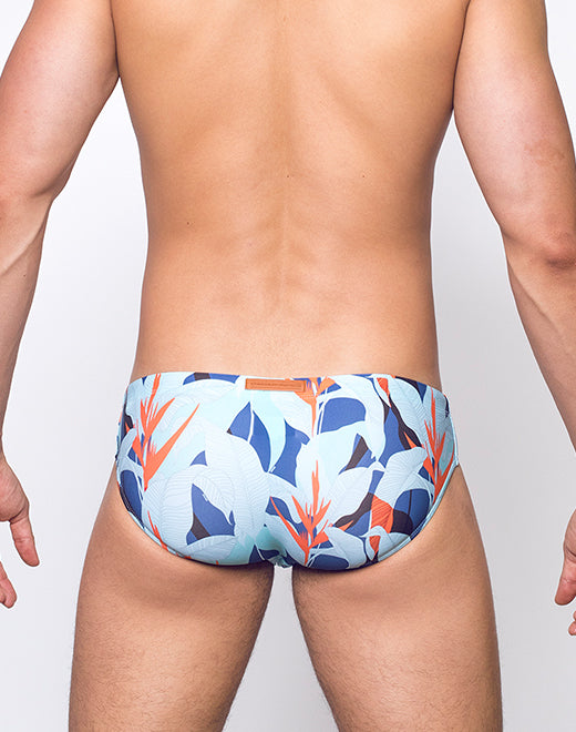 V10 Swim Brief