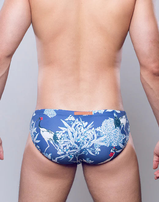 V10 Swim Brief