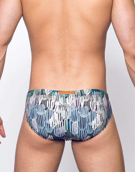 V10 Swim Brief